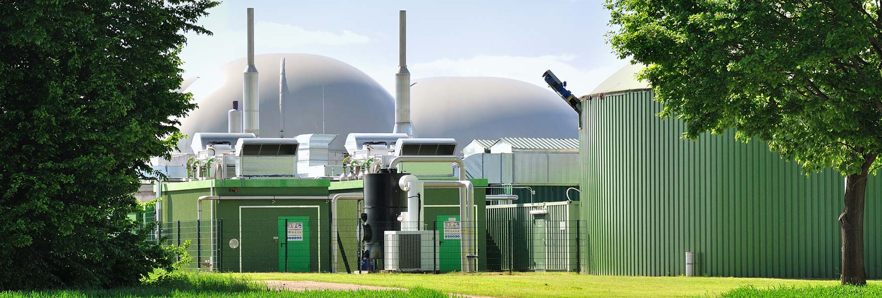 Biogas